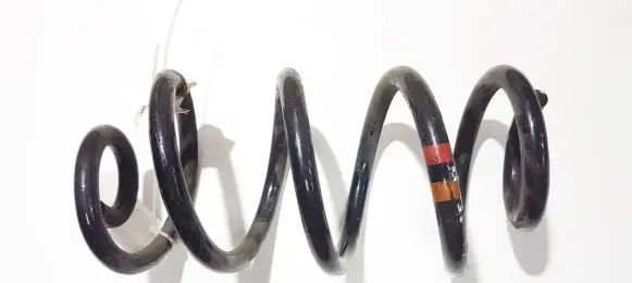 Rear coil spring