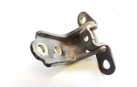 Rear door lower hinge