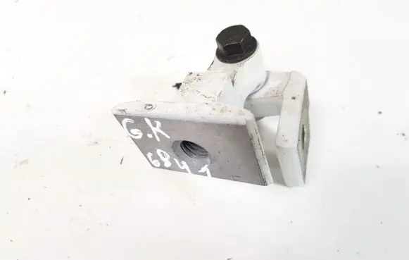 BMW 1 F20 F21 Rear door lower hinge