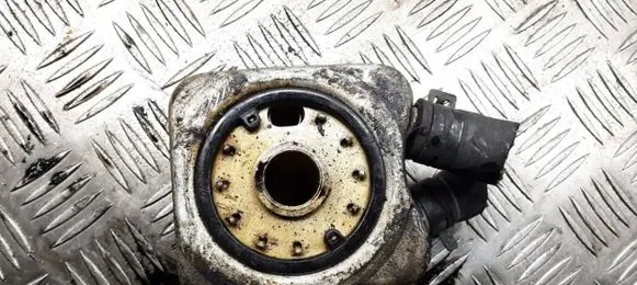 Audi A4 S4 B6 8E 8H Engine oil radiator 028117021B