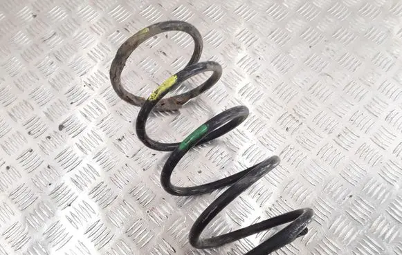 Front coil spring