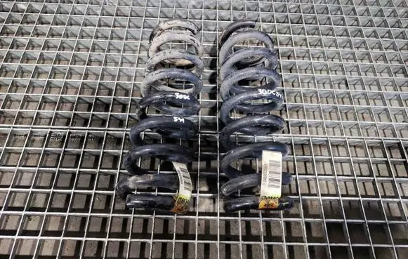Rear coil spring