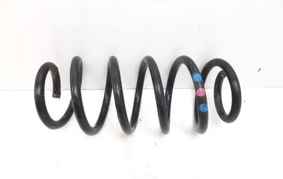 Rear coil spring