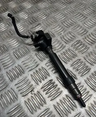 Ford Galaxy Fuel injector 28388960 9674984080 1496BL24R34