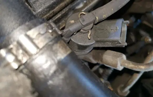 Peugeot 406 Fuel injector 9635196580 0445110008
