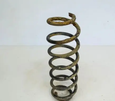 Skoda Roomster (5J) Rear coil spring