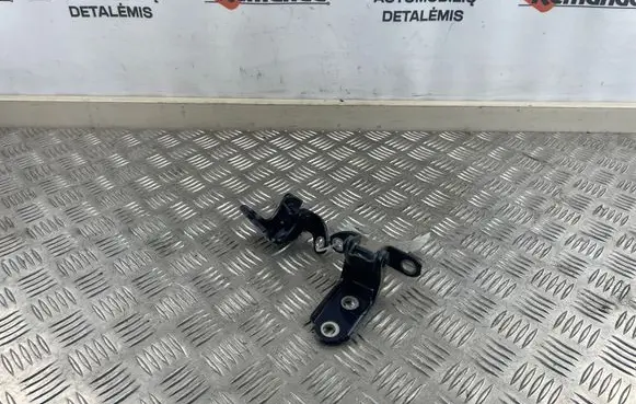 Toyota RAV 4 (XA50) Rear door hinge set 