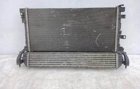 Renault Laguna III Radiator set 214810039R