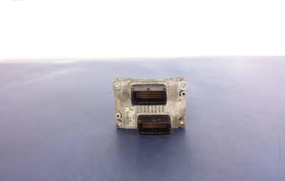Fiat Punto (188) Other control units/modules 1039S02301