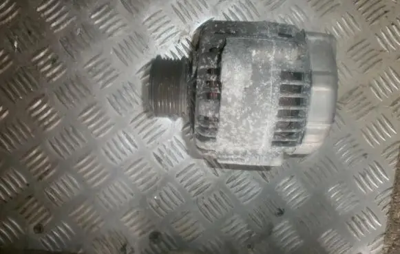 Jaguar X-Type Generator/alternator 1x4310300cb
