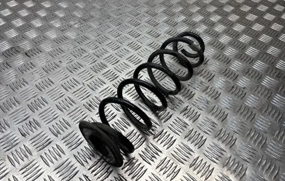 Rear coil spring