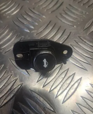 Tailgate opening switch