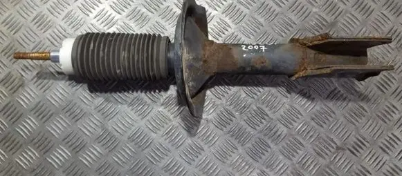Fiat Doblo Front shock absorber/damper 51755248