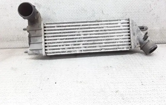 Peugeot 807 Intercooler radiator