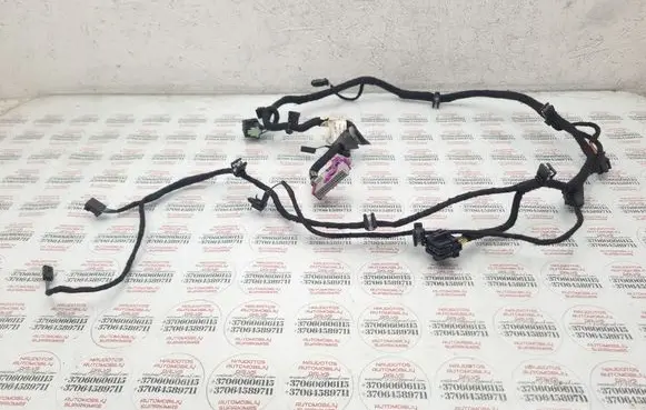 Front door wiring loom