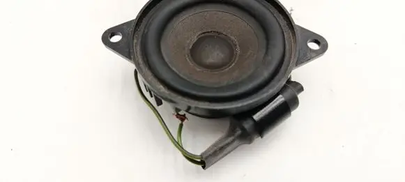 BMW X5 E53 Panel speaker 8379375