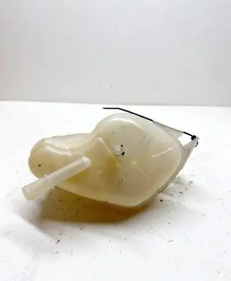 Renault Kadjar Fuel expansion tank 