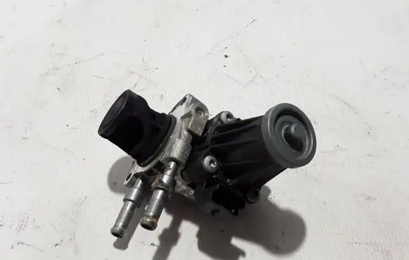 EGR valve
