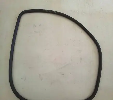 Opel Insignia A Front door rubber seal
