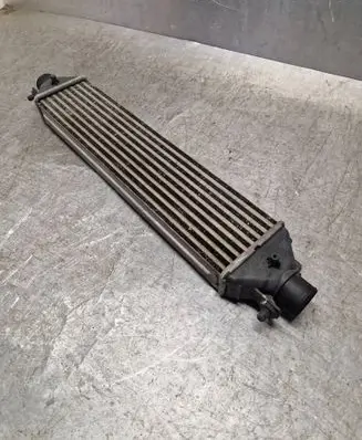 Fiat Bravo Intercooler radiator 866455500
