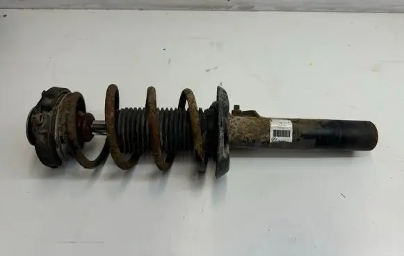 Volkswagen Jetta V Front shock absorber/damper 1K0400039