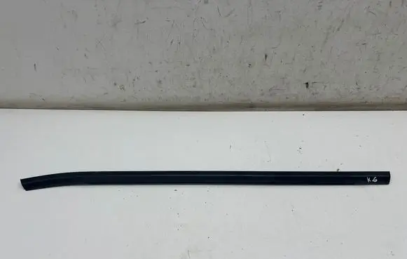 Hyundai Kona II Rear door glass trim molding