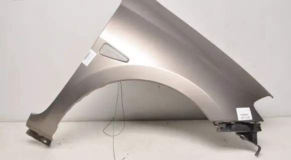 Renault Thalia II Front mudguard 