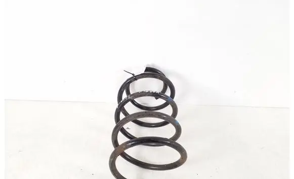 Front coil spring