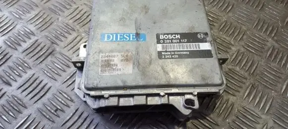 BMW 5 E39 Engine control unit/module 0281001117 2243420