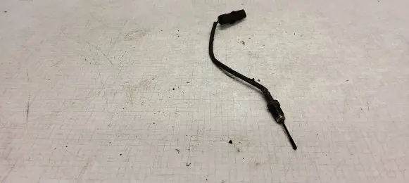 Peugeot 307 Exhaust gas temperature sensor