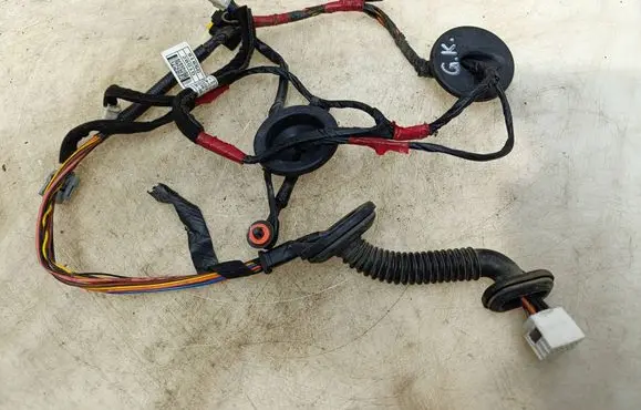 Hyundai Santa Fe Rear door wiring loom 916502B010
