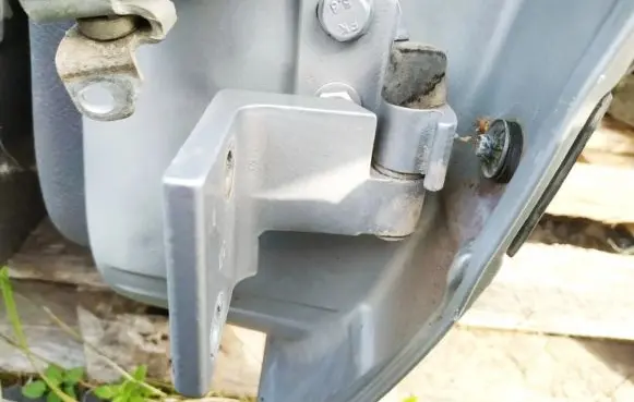 Rear door lower hinge