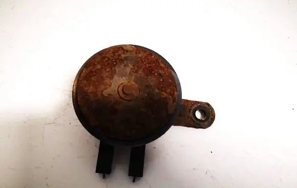 Horn signal