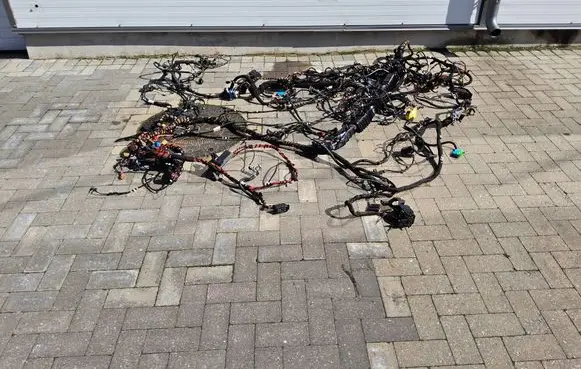 Other wiring loom
