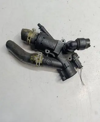 Thermostat/thermostat housing