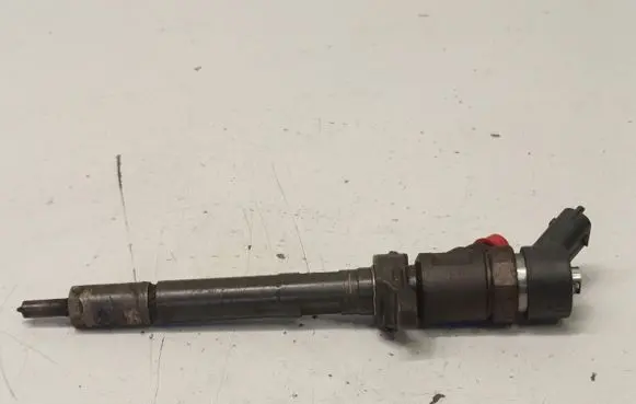 Volvo V50 Fuel injector 0445110259