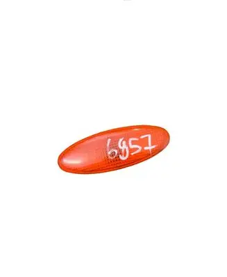 Ford Escort Front fender indicator light 95GG13K309AA