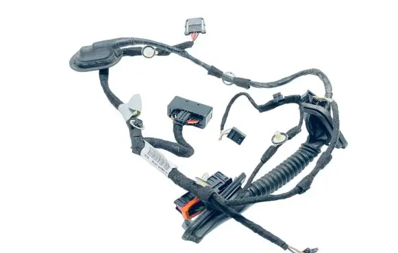 Rear door wiring loom