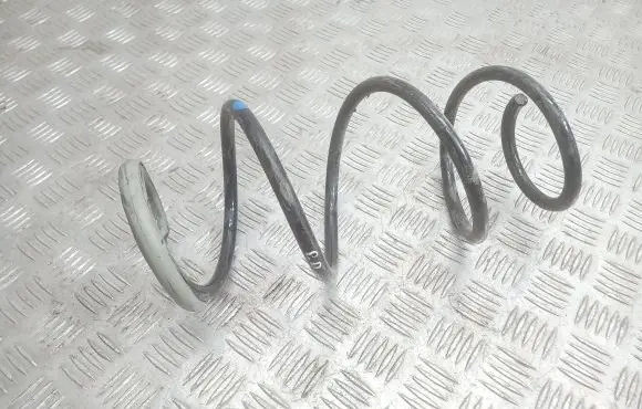 Front coil spring