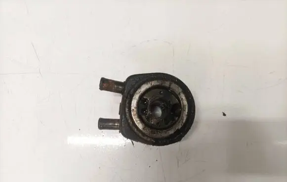 Citroen Evasion Engine oil radiator 