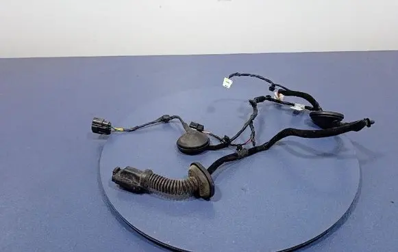 Other wiring loom
