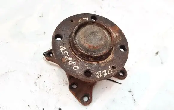 Peugeot 307 Stub axle 