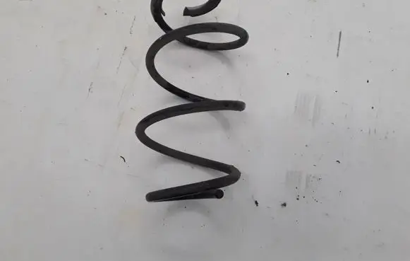 Renault Zoe Front coil spring 540107003R