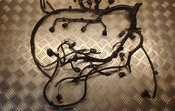 Opel Vivaro Fuel injector wires