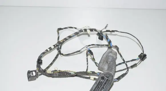 BMW X3 F25 Front door wiring loom 9243655 9252377 61129252380