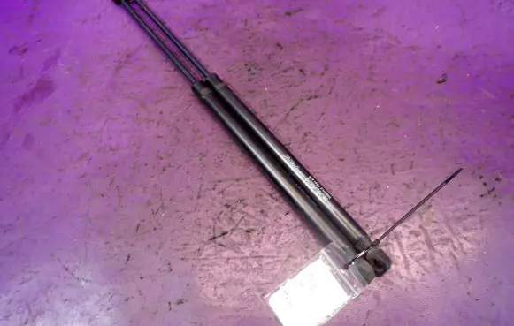 Tailgate strut