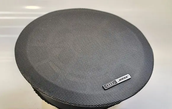 Front door speaker