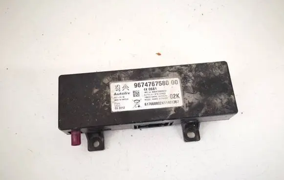 Peugeot 3008 I Other control units/modules 9674767580