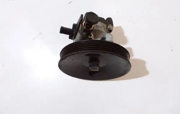 Hyundai Santa Fe Power steering pump