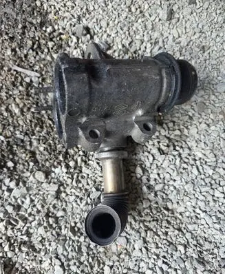 Nissan Kubistar EGR valve 255366